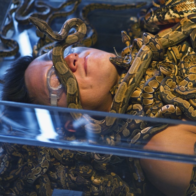 Fear Factor Returning to TV With "Unforgiving" New Twist